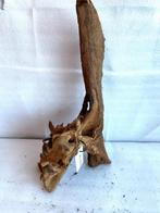 Al910 Fine Sinkingwood  55x23x28 cm aquarium decoratie hout, Verzenden, Plant(en), Steen of Hout