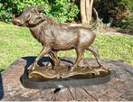 barye - Sculpture, Gedetailleerd bronzen beeld van een wild, Antiek en Kunst