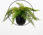 Tweedekans | Mica Decorations Dexter Bloempot Wand - L34 x, Ophalen of Verzenden, Nieuw