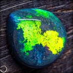 Honduras Zwarte Opaal cabochon met een intensief