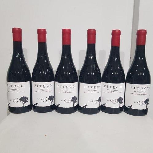 2018 Rodriguez de Vera Pituco Paraje Las Zorreras, Collections, Vins