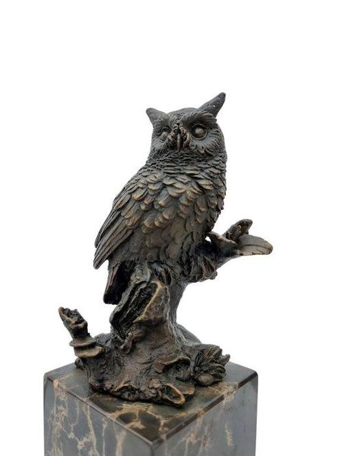 Beeldje - Wise owl - Brons, Marmer, Antiek en Kunst, Curiosa en Brocante