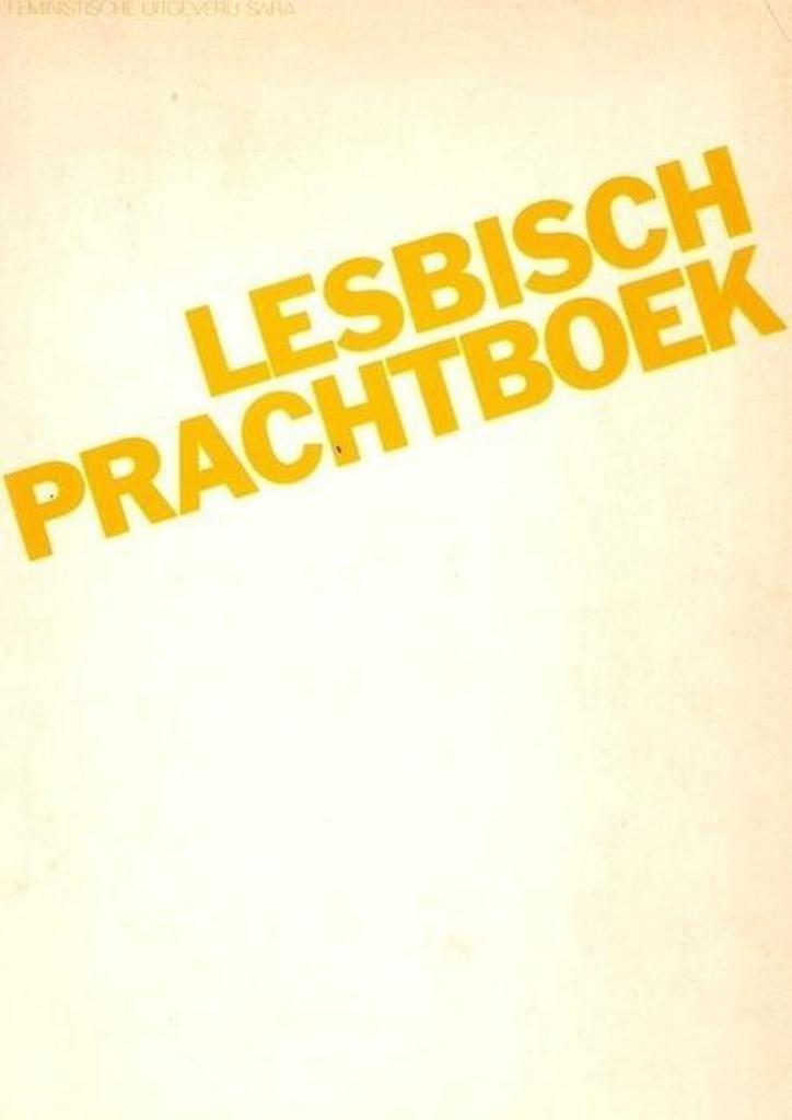 Lesbisch prachtboek 9789063280277 Maaike Meijer, Boeken, Literatuur, Gelezen, Verzenden