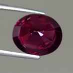 Spinelle - 5.00 ct - GRS (Laboratoire Gem Research Swiss) -, Nieuw