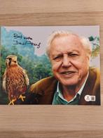 Sir David Attenborough - Planet Earth - Autograph, Photo, Verzamelen, Nieuw