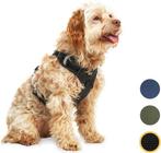 2dekans | Jake en Jacky Hondentuigje - Anti-Trek Tuig -, Dieren en Toebehoren, Honden-accessoires, Ophalen of Verzenden, Nieuw