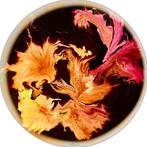 Véronique Dumont - Bouquet de lys