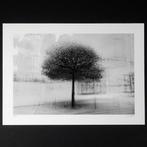 Frank Machalowski - stadtbaum#1, Antiek en Kunst, Kunst | Schilderijen | Modern