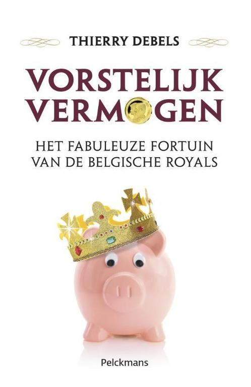 Vorstelijk vermogen 9789028979000 Thierry Debels, Livres, Politique & Société, Envoi