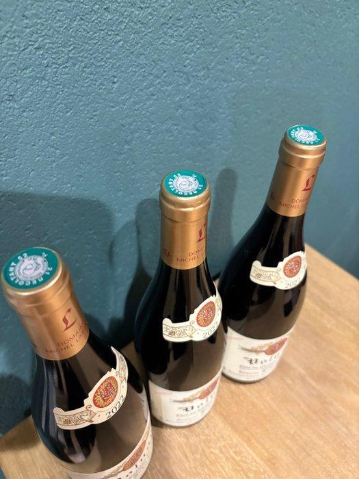 2022 Michel Lafarge Clos du Château des Ducs - Volnay 1er, Collections, Vins