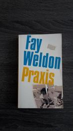 Praxis 9789067660105, Livres, Fay Weldon, Verzenden