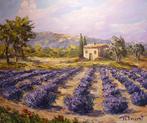 R. Vincent (1954) - Lavandes à Banon en haute  en Provence