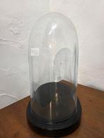 Globe - !!! - GLAZEN STOLP - 1951-1960 - Mooie Ovale Stolp, Antiek en Kunst