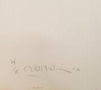 Carlos Cruz-Diez (1923-2019) - Serie semana - Viernes