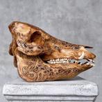 Geen veilingprijs - Prachtige bruine, uitgehouwen patina