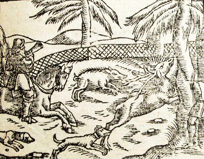 Ovidio - Amatoria - 1568, Antiek en Kunst, Antiek | Boeken en Manuscripten