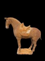 Oud Chinees, Tang-dynastie Terracotta TANG Paard - RALF