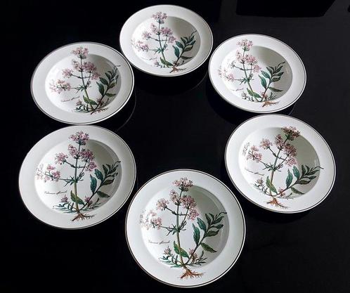 Villeroy & Boch - Plat (6) - botanica - Porcelaine, Antiek en Kunst, Antiek | Meubels | Tafels