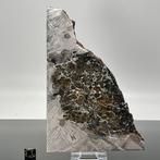 Grote XXL SEYMCHAN Meteoriet gepolijst HOGE KWALITEIT - 275