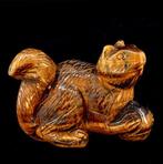 Première qualité dyeux de tigre écureuil - Hauteur : 8.5 cm