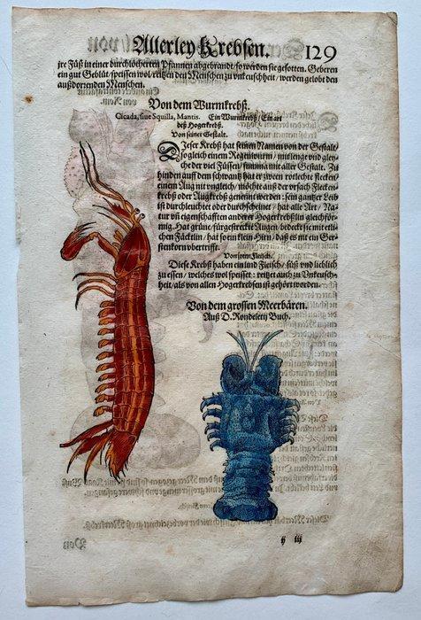 Conrad Gesner - Fischbuch - 1598, Antiek en Kunst, Antiek | Boeken en Manuscripten