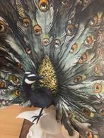 Florence - Giuseppe Armani - Giuseppe Armani - Beeld, Pavone