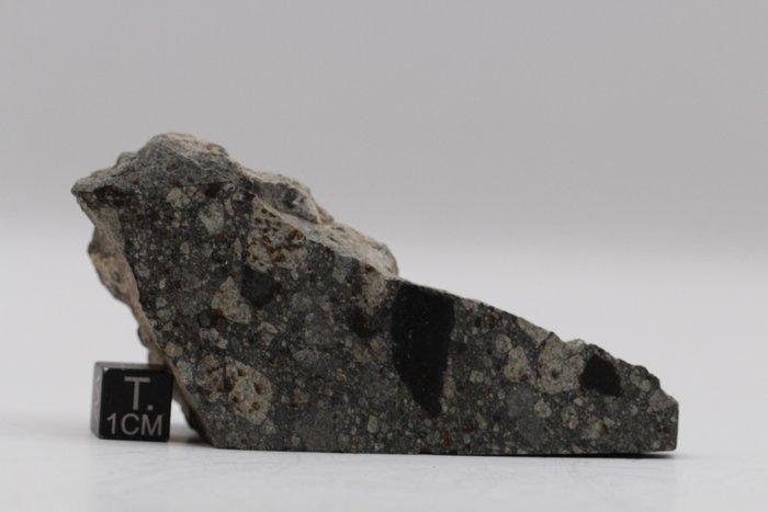 NWA 14456 H6 Chondrite meteoriet Chondrite meteoriet - 98.4, Collections, Minéraux & Fossiles
