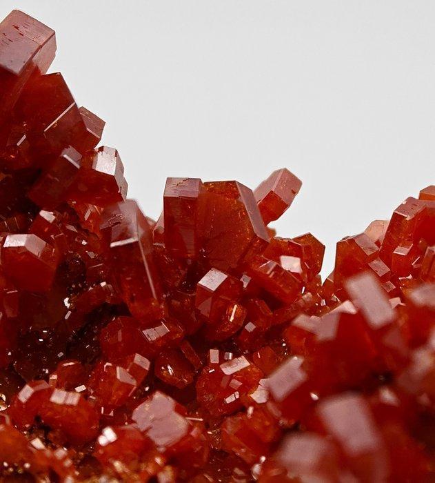 Storm van bloedrood vanadinit op gele bariet Kristallen op, Verzamelen, Mineralen en Fossielen