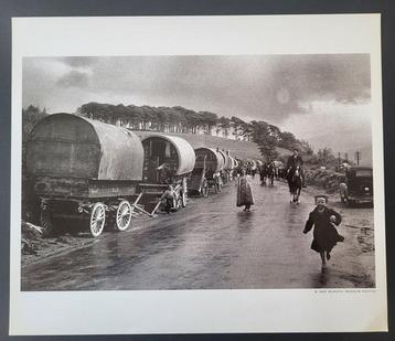 Inge Morath (1923-2002) - Irlande, 1954