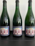 Cantillon - Cuvée Sint-Gillis 2023 - 75cl -  3 flessen, Verzamelen, Nieuw