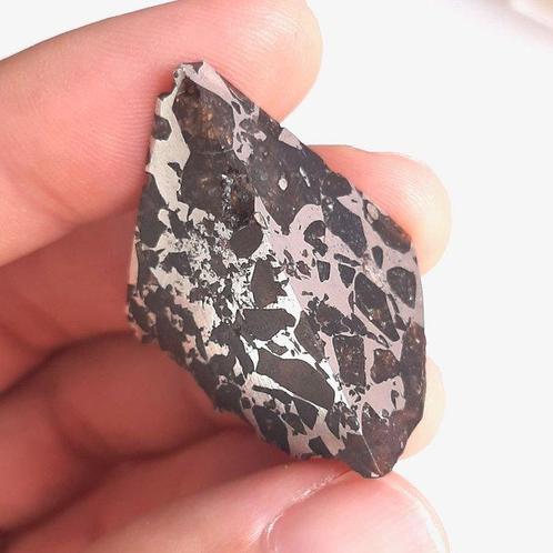 Seymchan meteoriet. Pallasiet - 19.7 g, Verzamelen, Mineralen en Fossielen