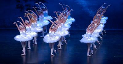 Het Zwanenmeer Tickets, Tickets en Kaartjes, Overige Tickets en Kaartjes