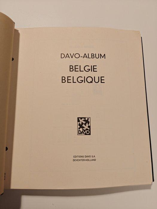 België 1849/1969 - België Davo Album I, Postzegels en Munten, Postzegels | Europa | België