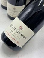 2013 Domaine Labruyère Coeur de Terroirs Moulin à Vent, Nieuw