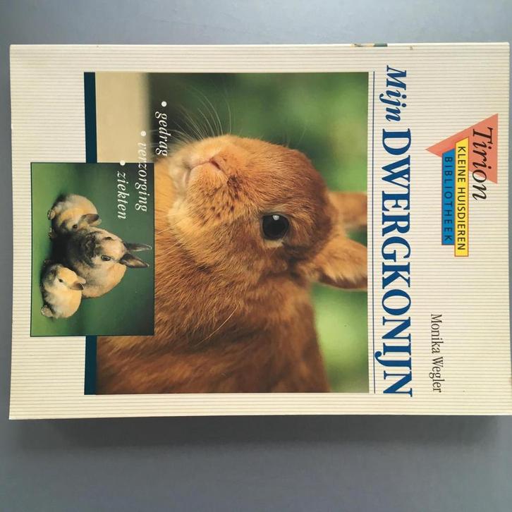 Mijn dwergkonijn / Tirion kleine huisdieren bibliotheek, Livres, Loisirs & Temps libre, Envoi