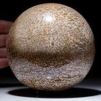 Bolvormig snijwerk, Osso di Dinosauro - 105 mm - Grote bol, Verzamelen, Mineralen en Fossielen