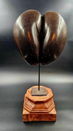 Coco de mer ou Coco fesse Support de corps entier pour