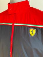 Ferrari - Veste