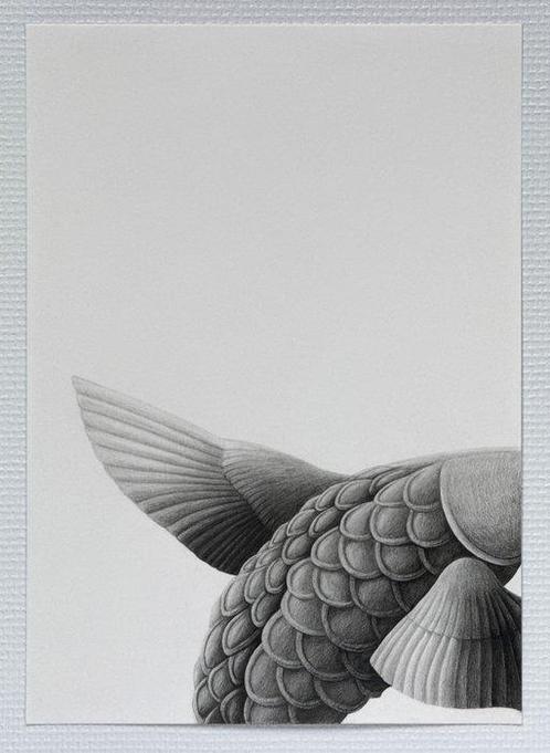 Dylan Altamiranda - Flying fish, Antiek en Kunst, Kunst | Schilderijen | Modern
