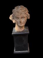 Oud-Grieks Terracotta Vrouwelijk hoofd. Spaanse invoer