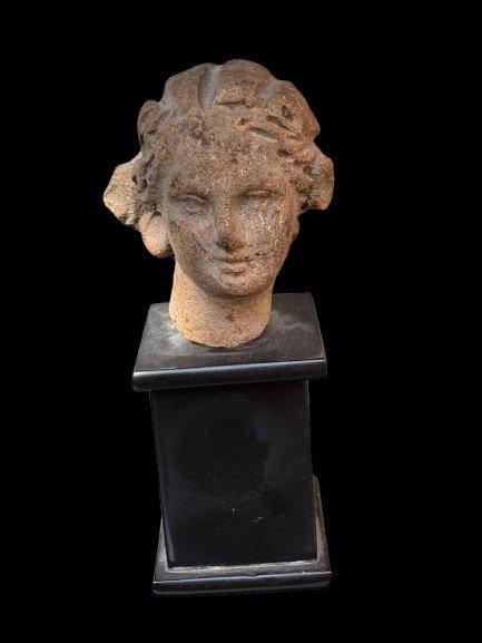 Oud-Grieks Terracotta Vrouwelijk hoofd. Spaanse invoer, Verzamelen, Mineralen en Fossielen