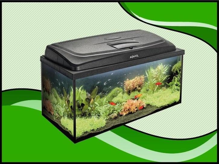 Classic box 80 recht aquarium (Classic box aquariums), Dieren en Toebehoren, Vissen | Aquaria en Toebehoren, Nieuw, Verzenden
