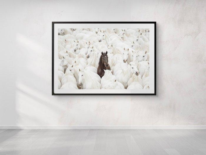 Jorge Omeñaca - The special one, Antiquités & Art, Art | Objets design