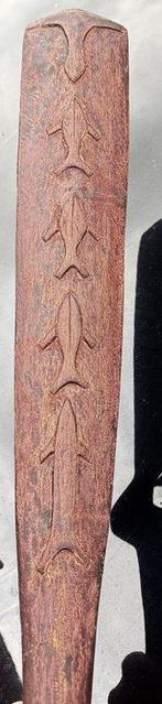 Club voor het vangen van haaien Santa Anna - Santa Anna