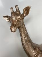 Rob VanMore - Baby Giraffe XL