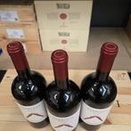 2022 Monteverro, Verruzzo - Toscane - 3 Magnums (1.5L), Verzamelen, Nieuw