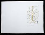 Salvador Dali (1904-1989) - Star Of Bethlehem, Antiek en Kunst