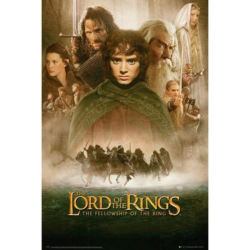 Lord of the Rings Fellowship of the Ring Poster 91.5 x 61 cm, Collections, Lord of the Rings, Enlèvement ou Envoi