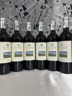 2020 Ornellaia “ Le Volte “ - Toscane - 6 Flessen (0.75, Nieuw