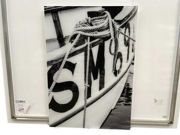 Veiling - Boot Romp Plexiglas Cobra Art